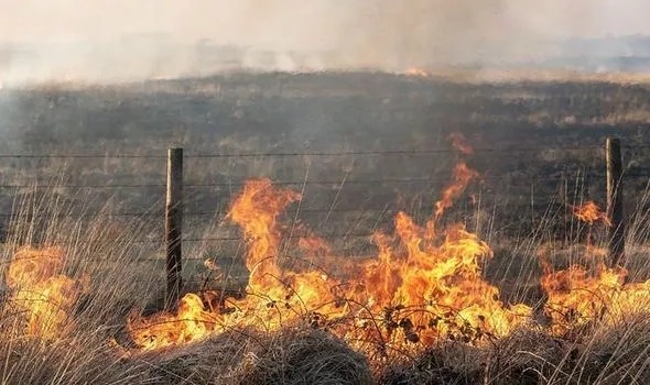 Two Fire Engines And An All-terrain Vehicle Were Dispatched To The Scene, Where They Discovered A Patch Of Grassland And Scrubland On Fire.