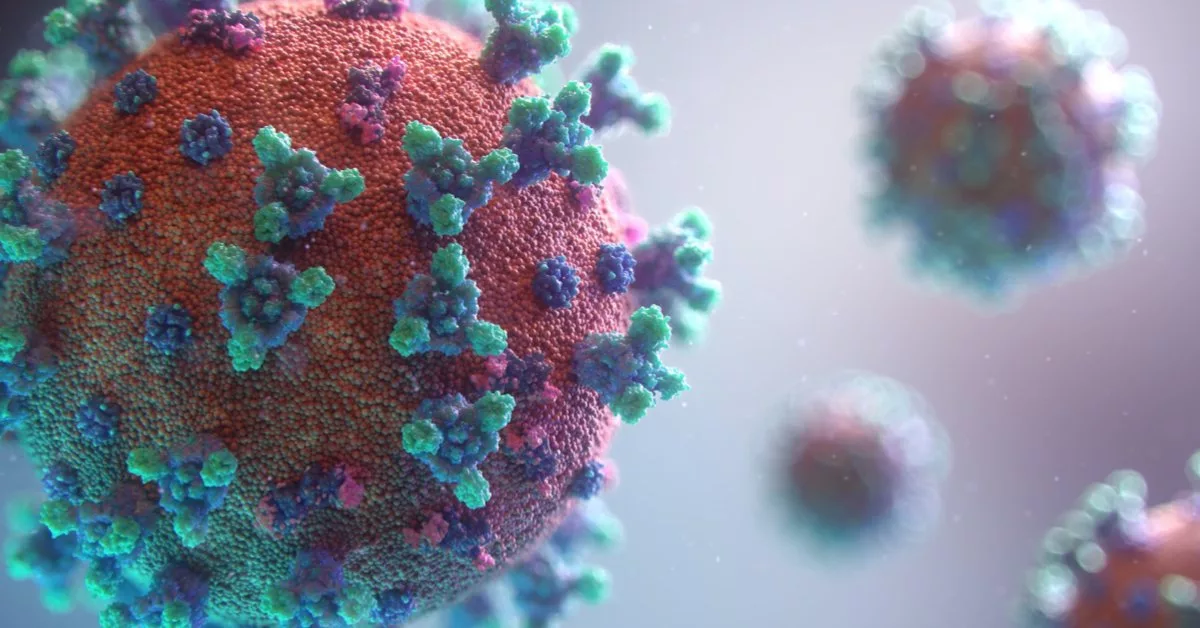 Officials From The World Health Organization (who) Have Declared That Covid-19 Is No Longer A Global Health Emergency