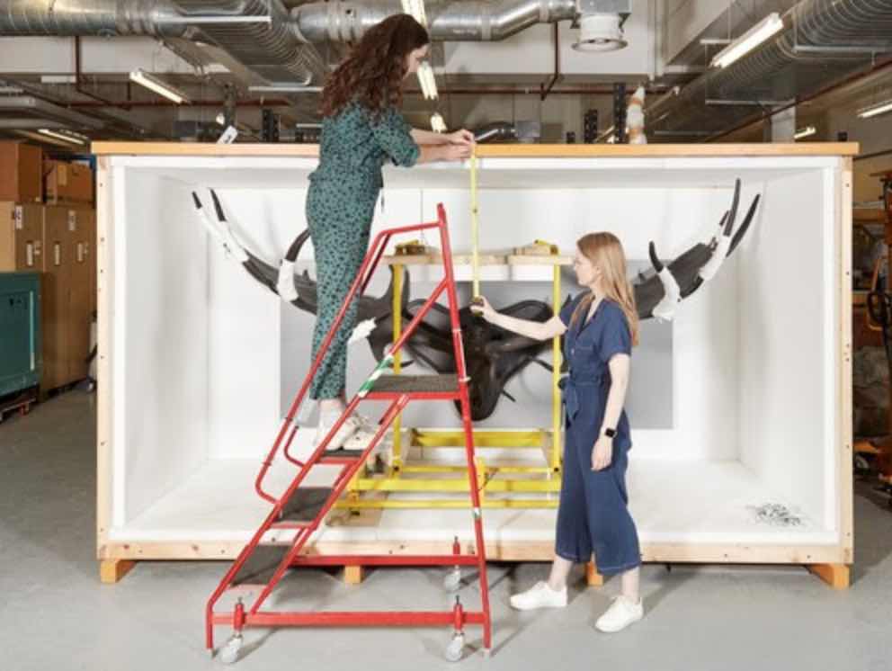 In Collaboration With The University Of Reading, The Natural History Museum Has Announced Plans To Open A Major Research Hub At Thames Valley Science Park, South Of The M4 In Shinfield Parish