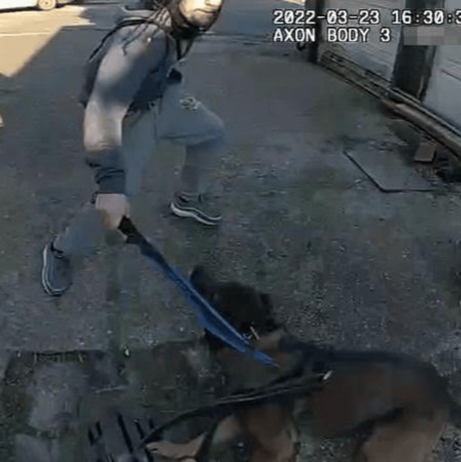 A Knife-wielding Man In Folkestone Was Sentenced To Two Years In Prison After Lunging At A Police Dog With A Zombie Knife