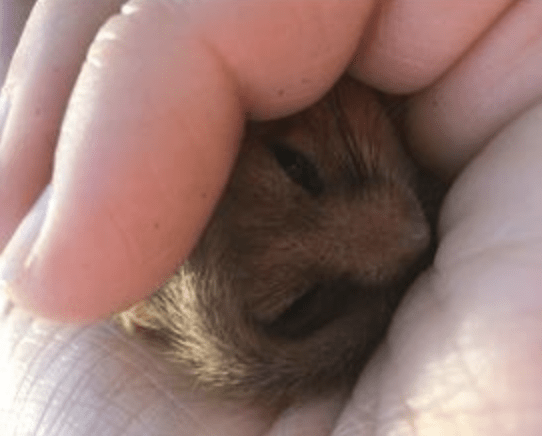 Cyclist Named After Fatal Collision With Lorry  In Southampton