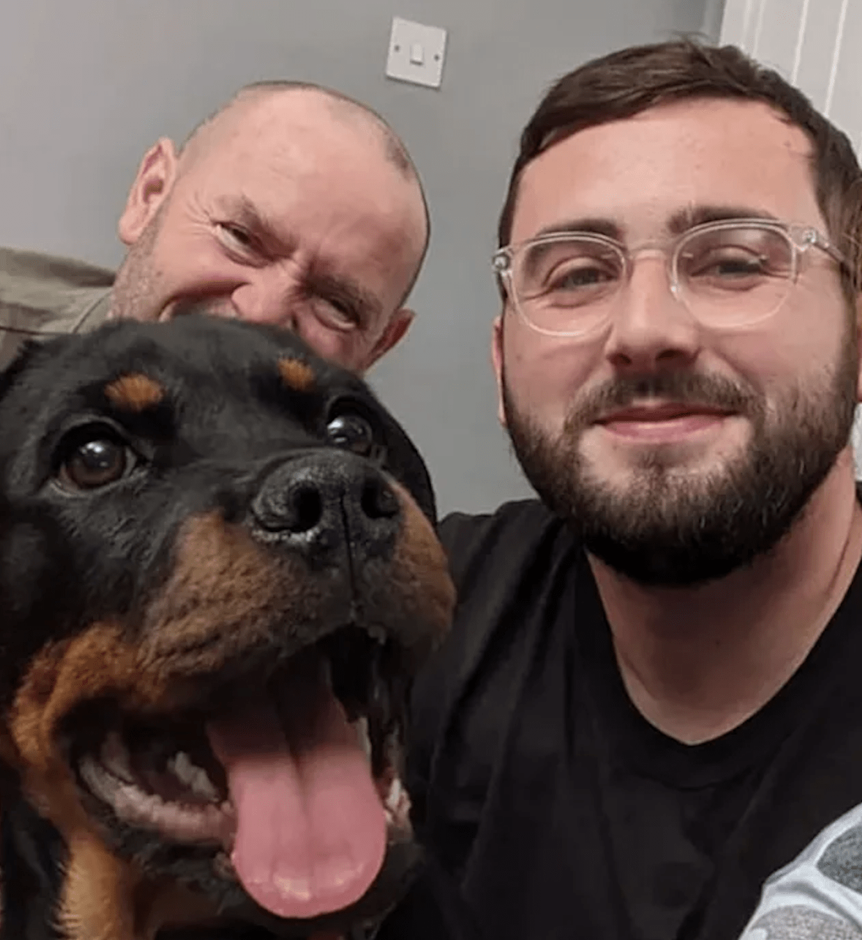 Gogglebox's Beloved Pet Pooch, Dave, Passes Away, Leaving The Malones Heartbroken
