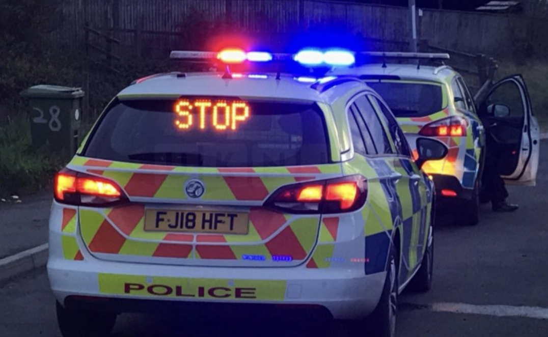 Teenager Dies from Falling Tree Incident