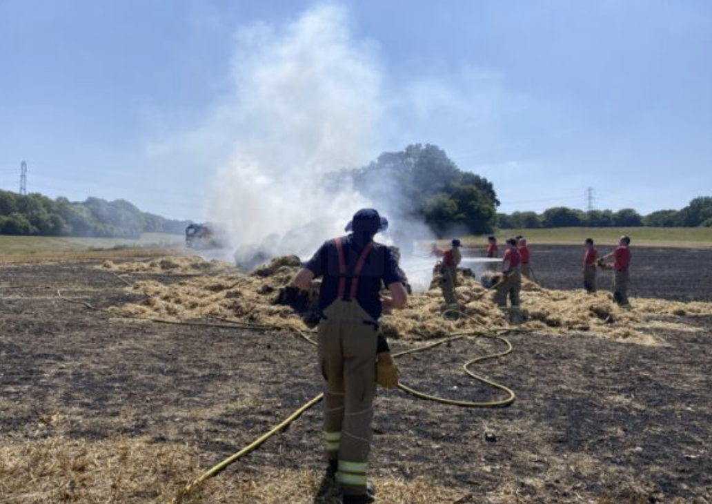 Fire Crews Tackle Large Field Blaze in Orpington