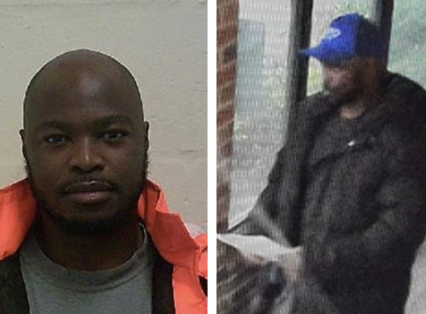 M20 Closed in Both Directions Due to Road Traffic Collision and Animals on the Network