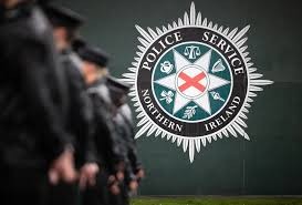 Girl, 12, Dies After Being Hit by Car While Getting Off School Bus in Northern Ireland