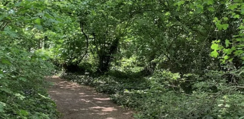 Round-Up of Recent Cases at Bromley and Bexley Magistrates’ Courts