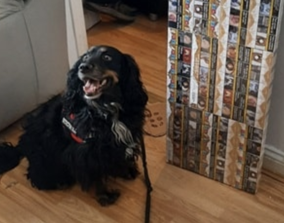 Two Arrested After £70,000 in Counterfeit Cigarettes and Alcohol Seized in Swindon Raid