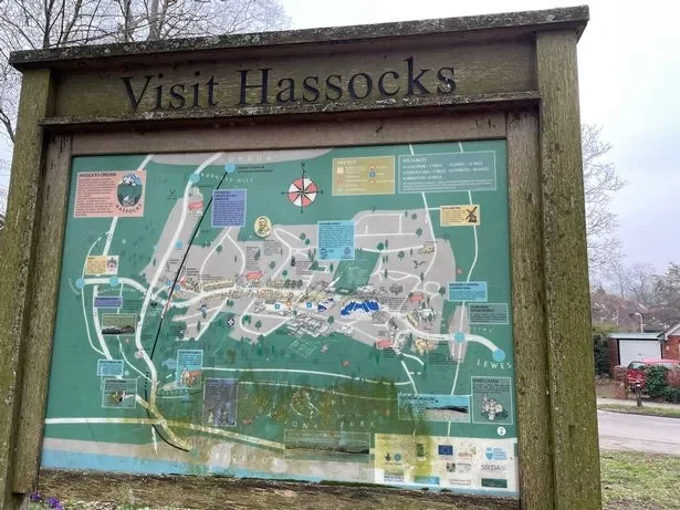 Man, 25, Arrested Over Rape of 14-Year-Old Girl in Quiet Sussex Village – UKNIP