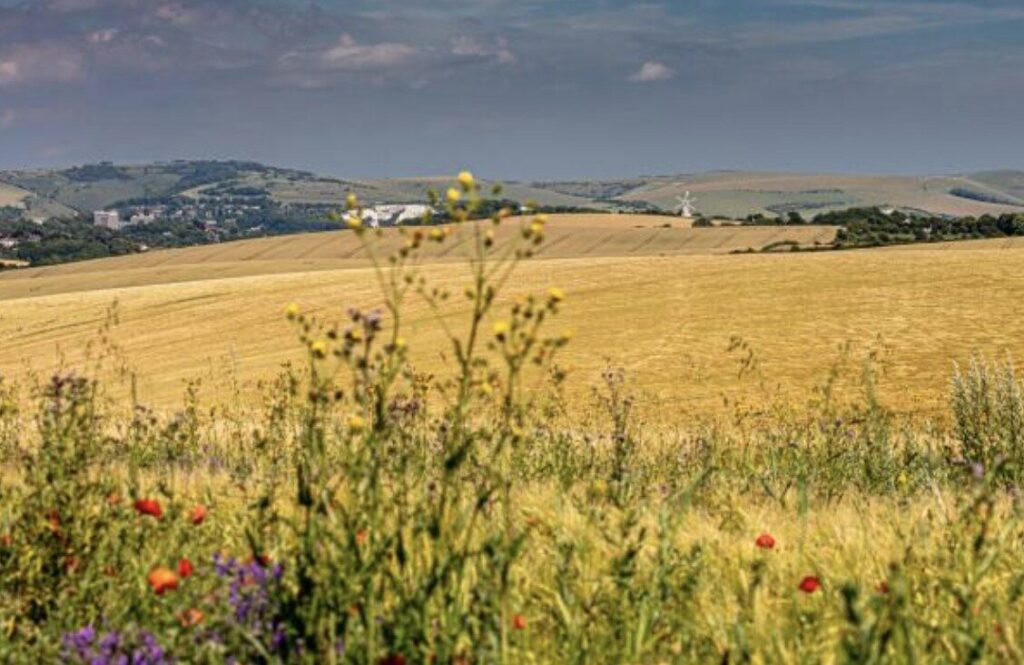 Kingston Near Lewes: Sussex’s Posh Village with Real Charm – UKNIP