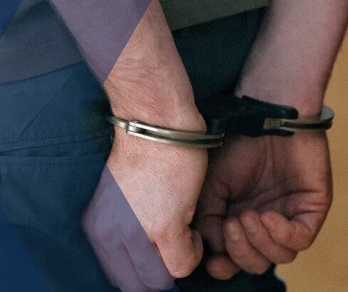 Two Held Over Cyber Raid on London Nurseries – UKNIP