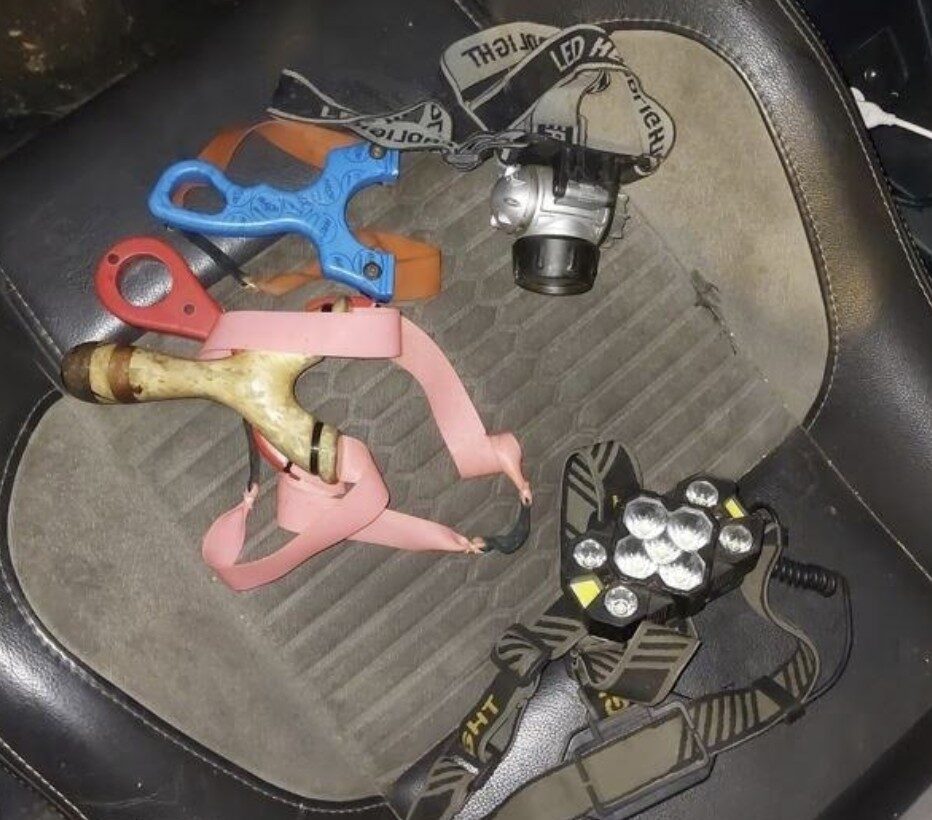 Poaching Bust in Canterbury: Two Men Arrested After Nighttime Wildlife Hunt