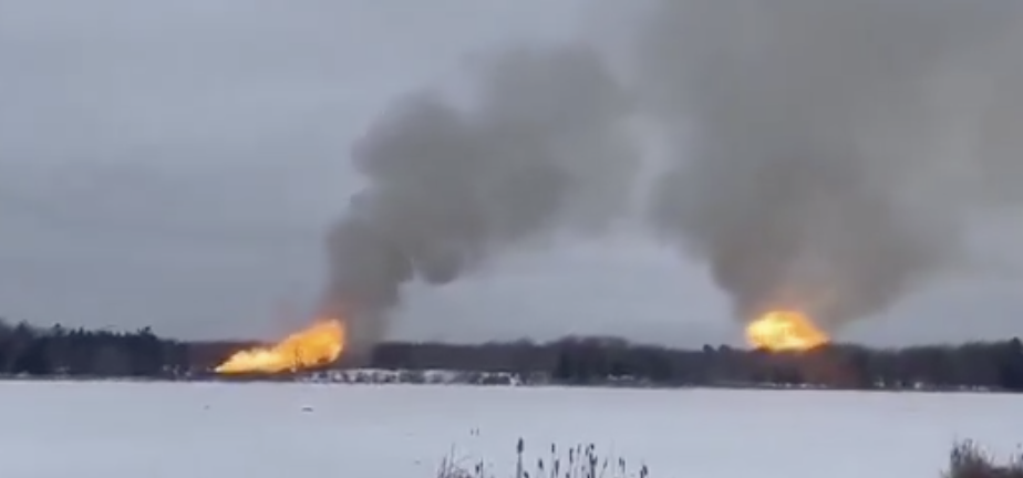 Leeds Woman Jailed for Helping Fugitive Flee UK