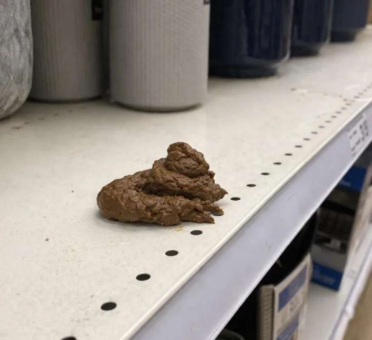 Staff Shocked by Surprise Scoop