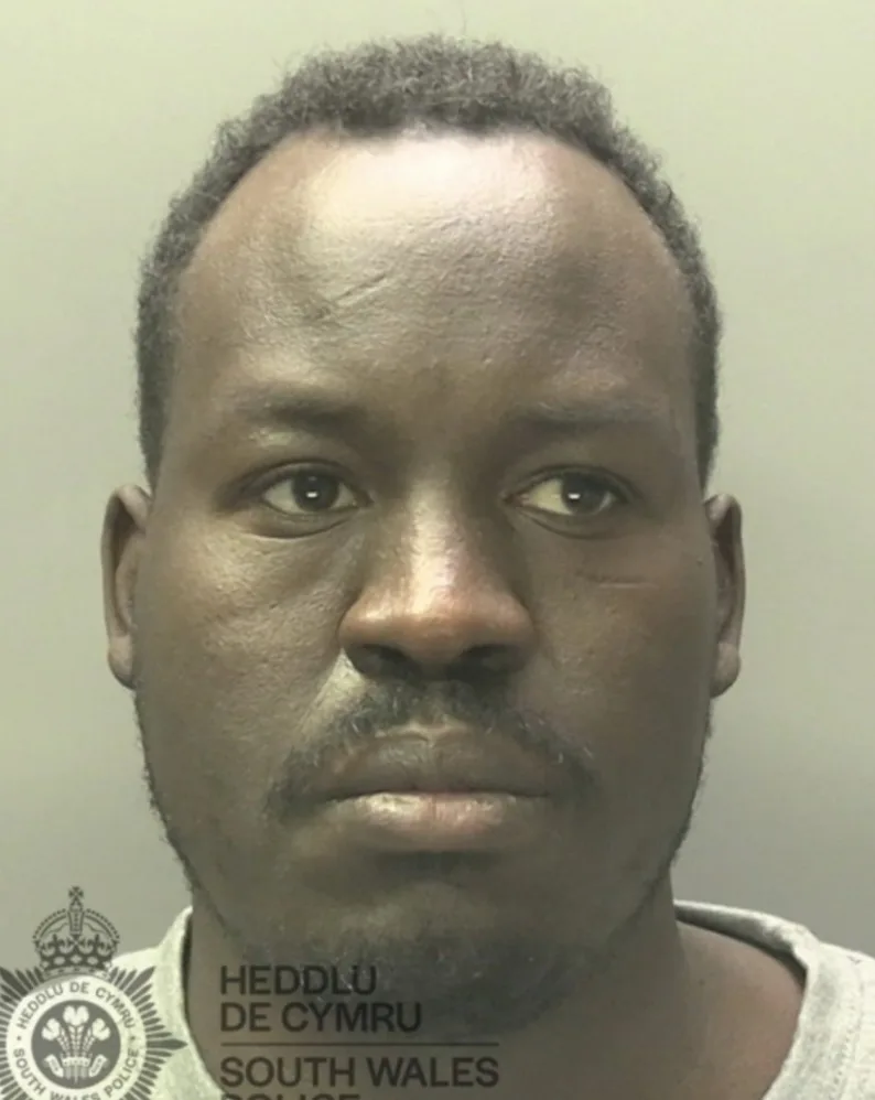 Swansea Man Jailed for Brutal Rape and Assault