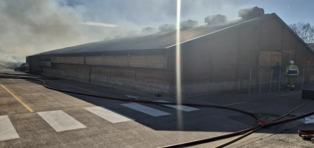 Fire Ravages Turkey Farm in Alvaston