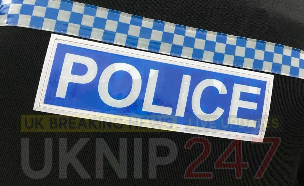 Bursledon Hit-and-Run: Van Flees After VW Golf Crashes Into Tree, Driver Injured