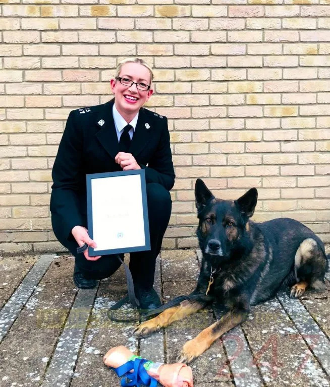Isle of Wight Dog Handler PC Kelly Bartle Wins Chief Constable Award Despite Police Cuts