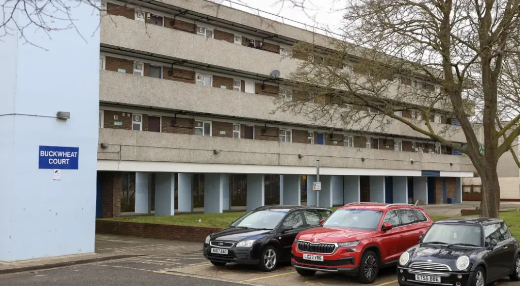 Thamesmead Siblings Found Dead in Suspected Suicide Pactâ€”Fatal Stab Wounds Confirmed
