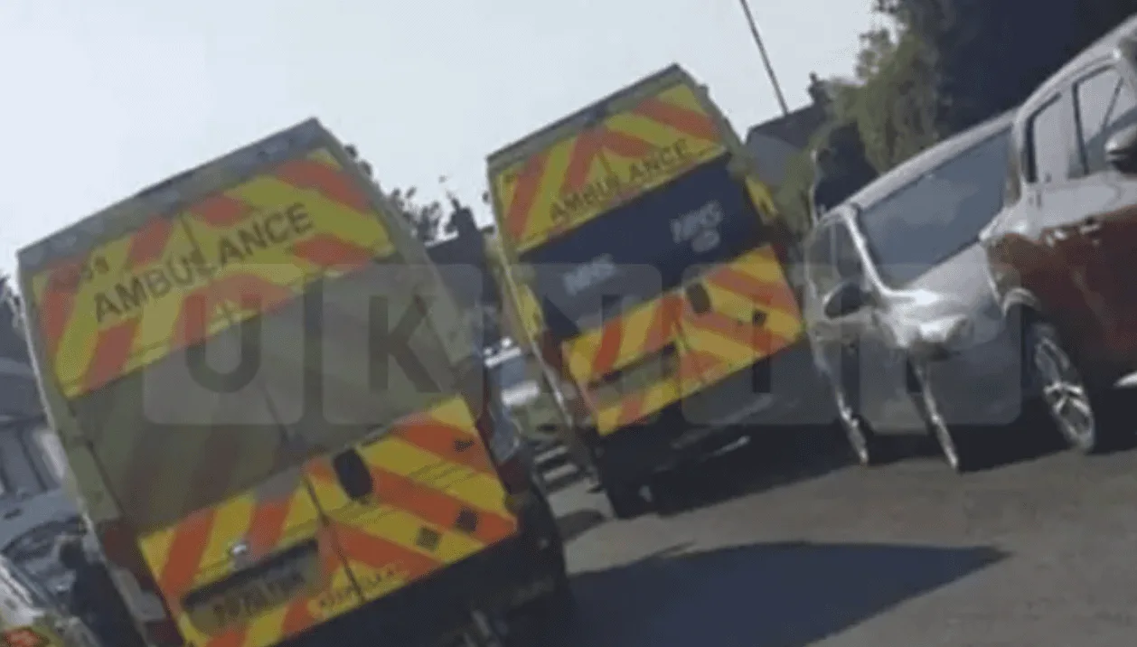 Toddlers Mauled in Shocking Dog Attack in Prescot Home â€“ Police Launch Urgent Probe