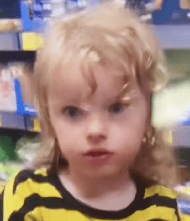 Woman Arrested for ‘Wasting Police Time’ After Four-Year-Old Boyâ€™s Alleged Disappearance Sparks Massive Suffolk Search