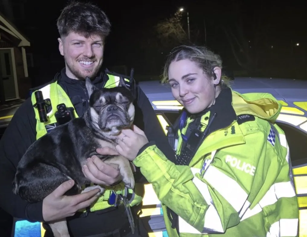 Dog Abandoned in Stolen Car After 2am Whittlesey Chase as Thief Flees on Foot