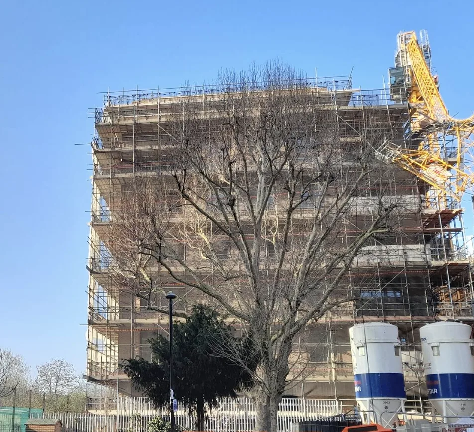 Crane Topples Near Primary School on Barbly Road â€“ Miraculously No Injuries!