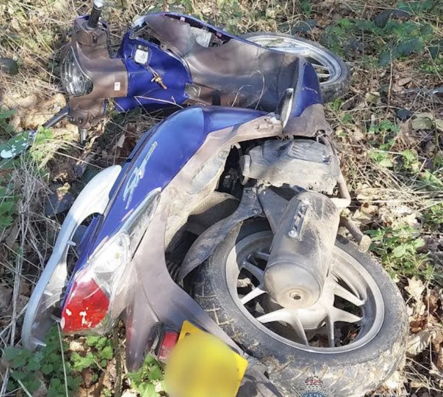Two Teens Arrested After High-Speed Chase in Stolen Vehicles Ends in Maidstone Park