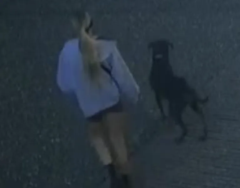 CCTV Released After Shocking Canterbury Assault