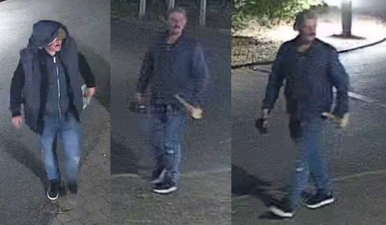 Police Seek Suspect After Burglary at Dogs Trust Shoreham Centre – London999