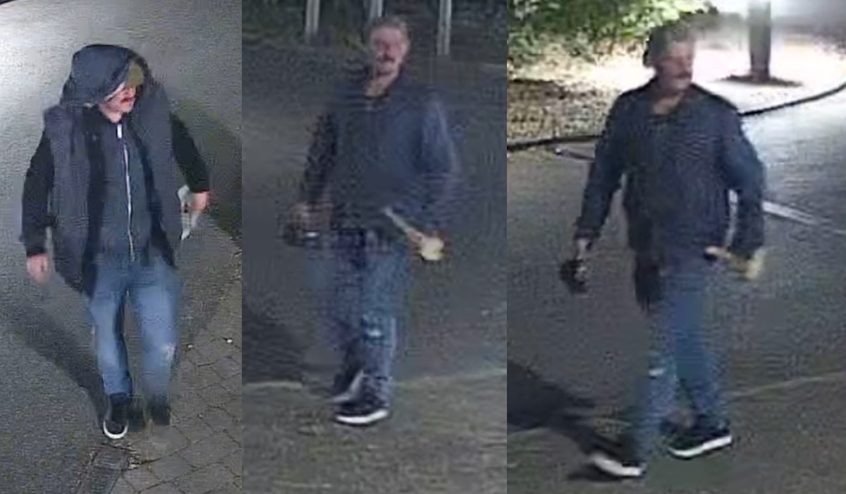 Police Seek Suspect After Burglary at Dogs Trust Shoreham Centre – London999