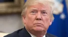 Trump’s Truth Social Post Sparks Global Debate Over Crimea and Ukraine Peace Talks